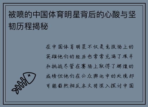 被喷的中国体育明星背后的心酸与坚韧历程揭秘